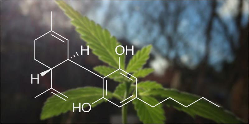 Afghanistan CBD Oil Benefits