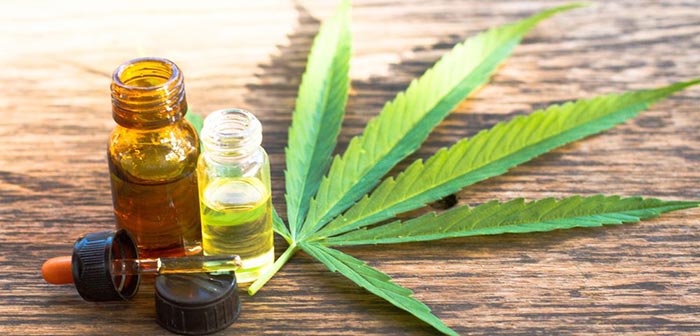 CBD Oil Fights Cancer