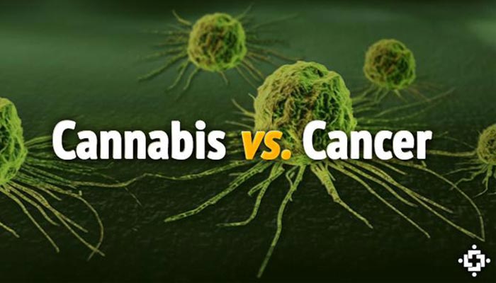 CBD Oil For Cancer