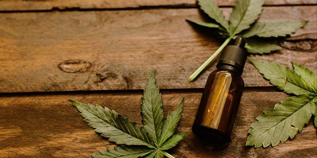 Difference Between CBD And Hemp