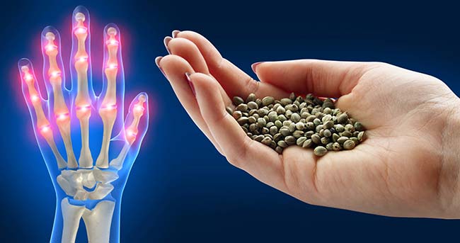 Hemp Oil Curing Arthritis